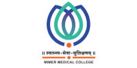 MIT-MIMER-logo